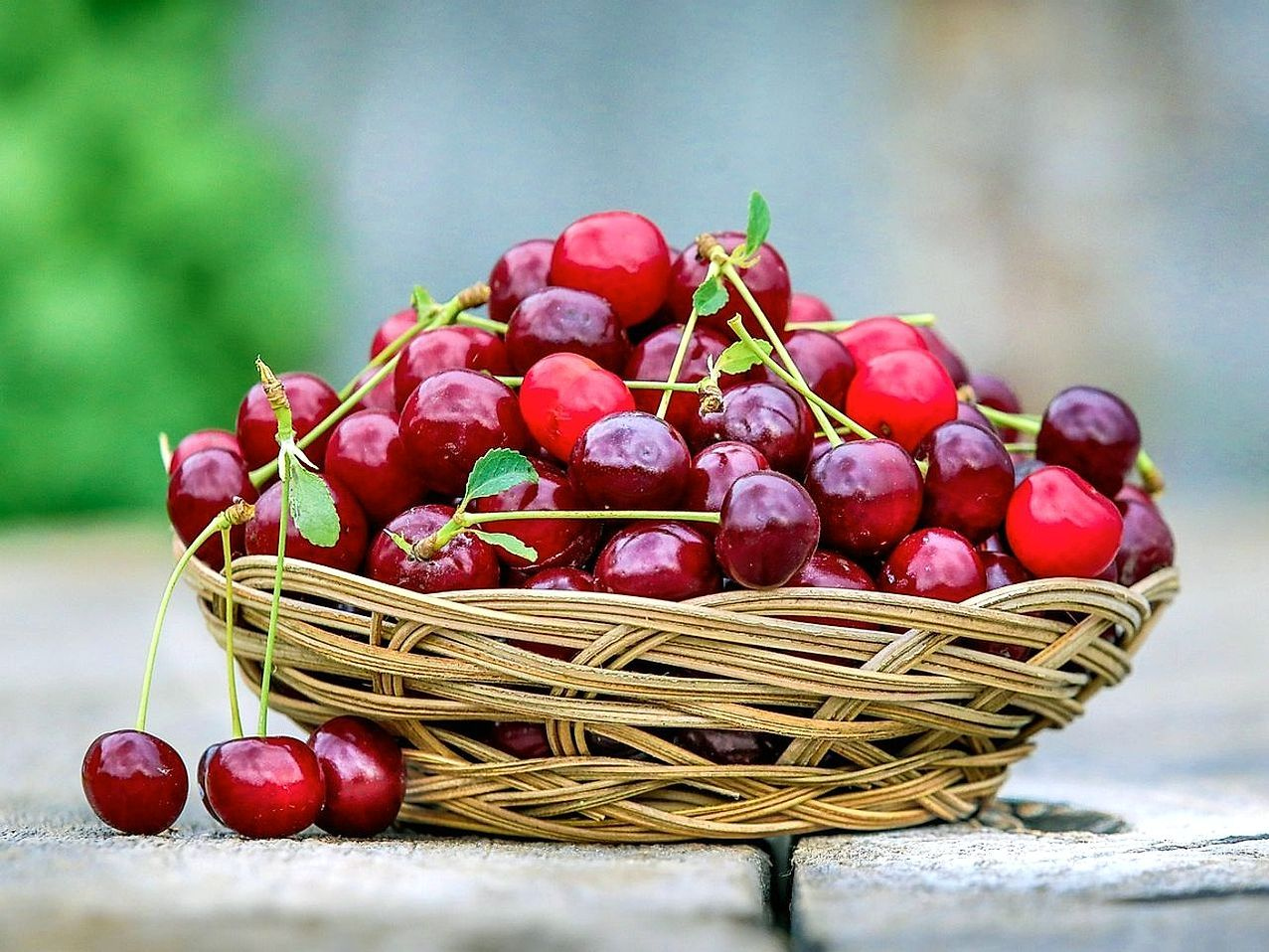 Uvas recién cosechadas de temporada